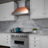 ZLINE 36" DuraSnow® Stainless Steel Range Hood with Copper Shell, 8654C-36
