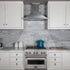 ZLINE 36" Snow Finished Stainless Steel Wall Mount Range Hood, 8KBS-36