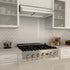 ZLINE 36" Under Cabinet Stainless Steel Range Hood 625-36