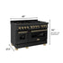 ZLINE 48" Autograph Dual Fuel Range, Black Stainless, Gold, RABZ-48-G