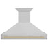 ZLINE 48" Autograph DuraSnow Stainless Steel Hood 8654SNZ-48-G