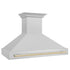 ZLINE 48" Autograph DuraSnow Stainless Steel Hood 8654SNZ-48-G