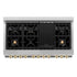 ZLINE 48" Autograph Edition, Dual Fuel Stainless Steel Range, RAZ-48-G