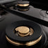 ZLINE 48" Autograph Edition, Rangetop, DuraSnow, Gold Accent, RTSZ-48-G