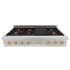 ZLINE 48" Autograph Edition, Rangetop, DuraSnow, Gold Accent, RTSZ-48-G