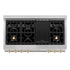 ZLINE 48" Autograph Edition, Rangetop, DuraSnow, Gold Accent, RTSZ-48-G