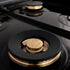 ZLINE 48" Autograph Rangetop, Stainless, Bronze Accents, RTZ-48-CB