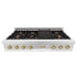 ZLINE 48" Autograph Rangetop, Stainless, Gold Accents, RTZ-48-G