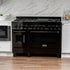 ZLINE 48" Black Stainless, Gas Burner, Electric Oven Range, RAB-48
