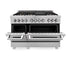 ZLINE 48" Dual Fuel Range, DuraSnow Stainless, Brass Burners, RAS-SN-BR-48