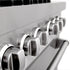 ZLINE 48" Dual Fuel Range, DuraSnow Stainless, Brass Burners, RAS-SN-BR-48