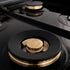 ZLINE 48" Gas Burner/Electric Oven Range Stainless, Brass Burners, RA-BR-48