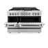 ZLINE 48" Gas Burner/Electric Oven Range Stainless, Brass Burners, RA-BR-48