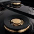 ZLINE 48" Porcelain Rangetop, DuraSnow®, 7 Brass Burners, RTS-BR-48