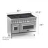 ZLINE 48" Professional Dual Fuel Range with Red Matte Door, RA-RM-48