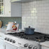 ZLINE 48" Rangetop With 7 Gas Brass Burners, RT-BR-48