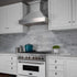 ZLINE 48" Snow Finish Range Hood with Snow Finish Shell, 8654SN-48