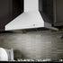 ZLINE 48" Stainless Steel Wall Range Hood 667-48