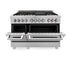 ZLINE 60" Dual Fuel Range, Snow Stainless, Brass Burners, RAS-SN-BR-60