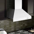 ZLINE Ducted Wall Mount Range Hood in Outdoor Approved Stainless Steel 697-304-30