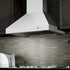 ZLINE Ducted Wall Mount Range Hood in Outdoor Approved Stainless Steel 697-304-36
