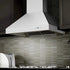 ZLINE Ducted Wall Mount Range Hood in Outdoor Approved Stainless Steel 697-304-42