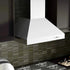 ZLINE Ducted Wall Mount Range Hood in Outdoor Approved Stainless Steel 697-304-48