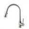 ZLINE Edison Kitchen Faucet,EDS-KF-BN
