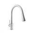 ZLINE Edison Kitchen Faucet,EDS-KF-BN