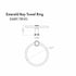 ZLINE Emerald Bay Towel Ring EMBY-TRNG-CH