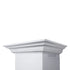 ZLINE Professional Convertible Vent Wall Mount Range Hood in Stainless Steel with Crown Molding 667CRN-48