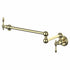 ZLINE Rembrandt Pot Filler REM-FPF-PG
