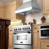 ZLINE 48" Remote Dual Blower Stainless Wall Range Hood, 687-RD-48